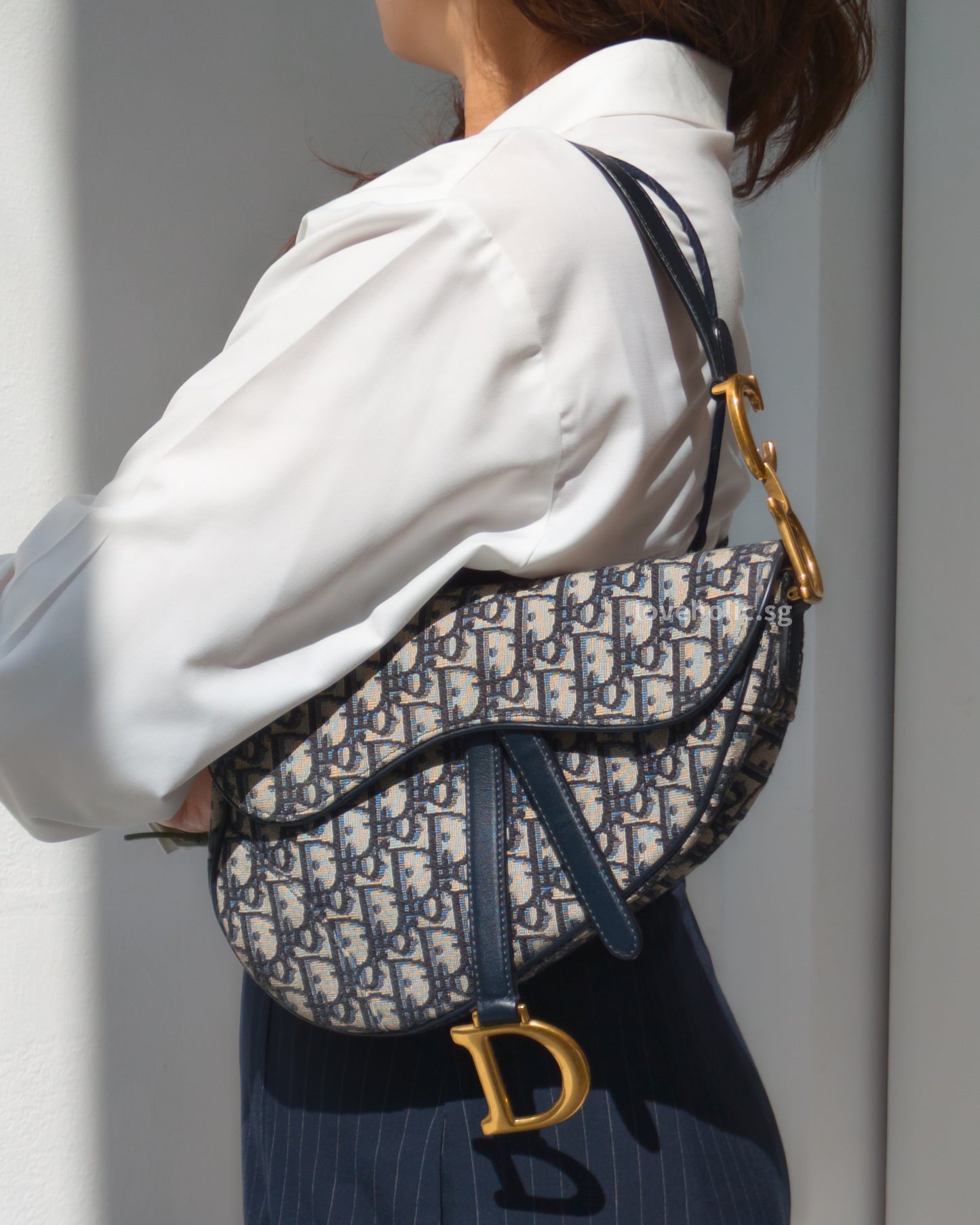 Dior Saddle Medium | Blue Dior Oblique Jacquard Fabric Brushed Gold Hardware-model