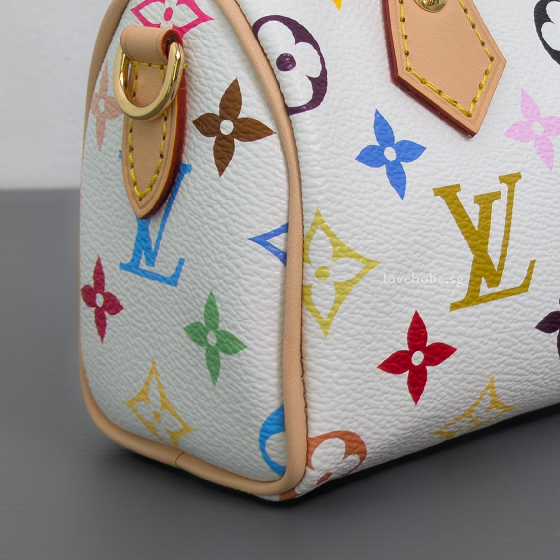 Louis Vuitton Speedy x TM Nano Speedy Canvas Light Gold Hardware-details