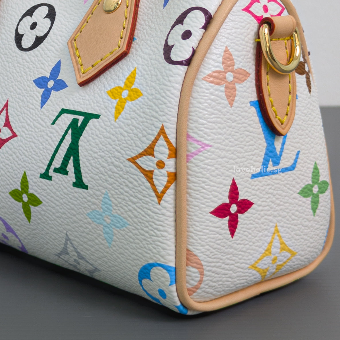Louis Vuitton Speedy x TM Nano Speedy Canvas Light Gold Hardware-details