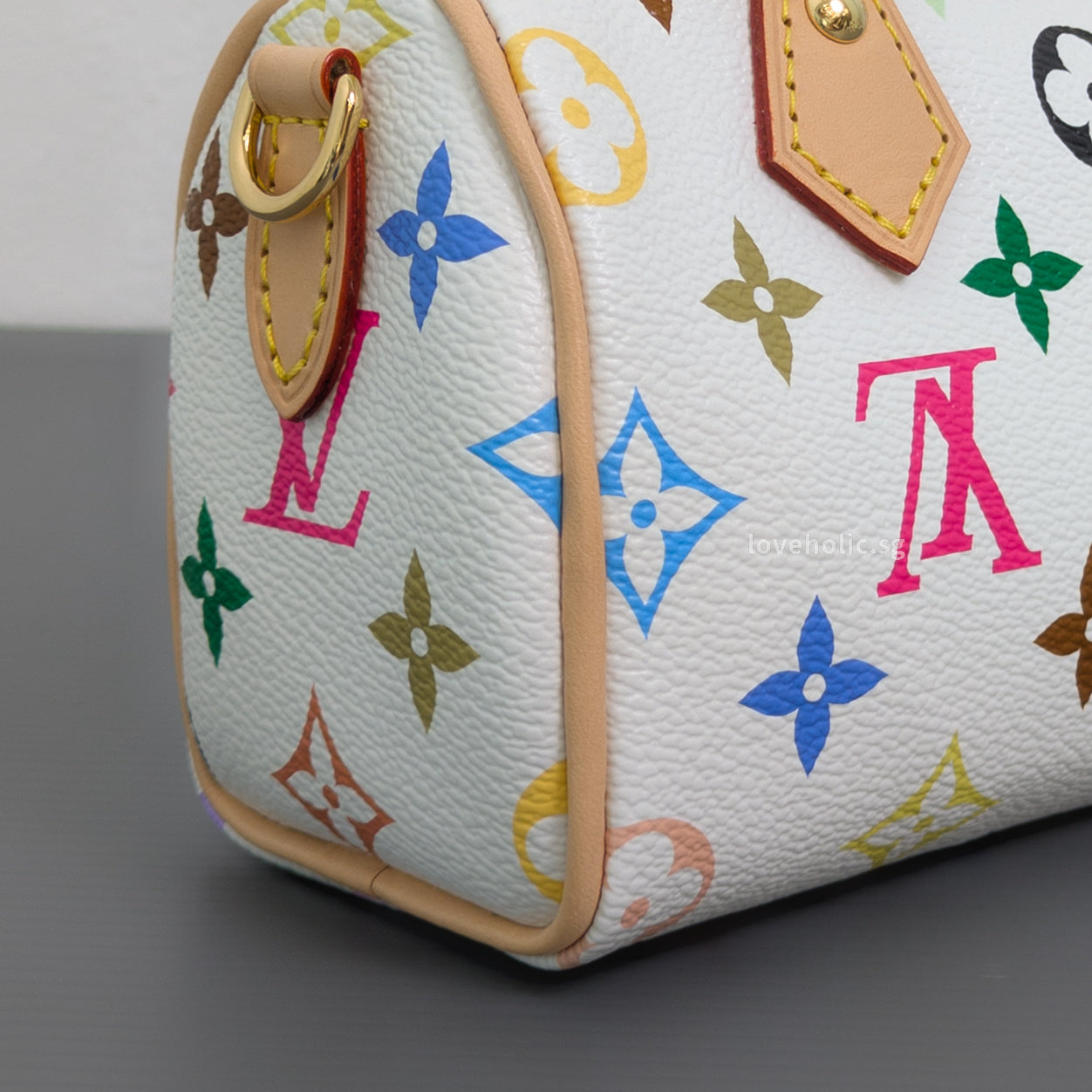 Louis Vuitton Speedy x TM Nano Speedy Canvas Light Gold Hardware-details