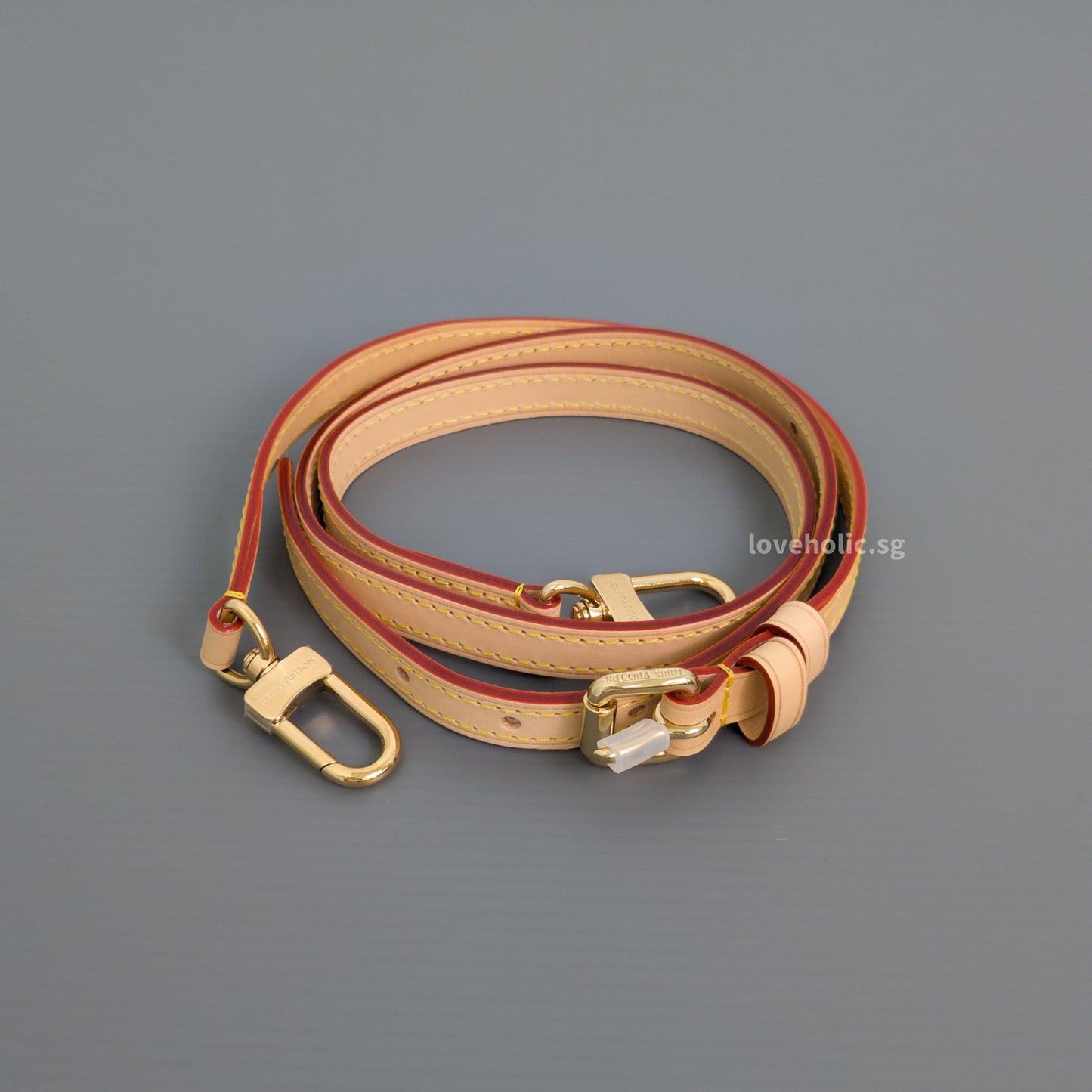 Louis Vuitton Speedy x TM Nano Speedy Canvas Light Gold Hardware-details