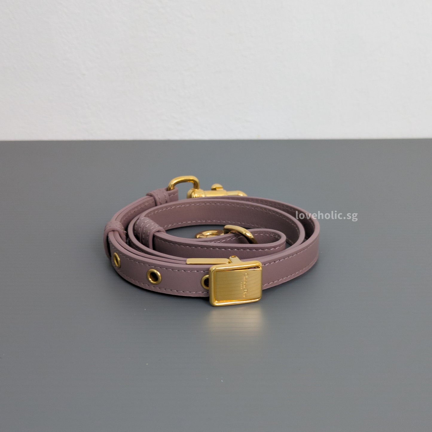 Dior Bobby East-West Peony Pink Calfskin Gold Hardware-details