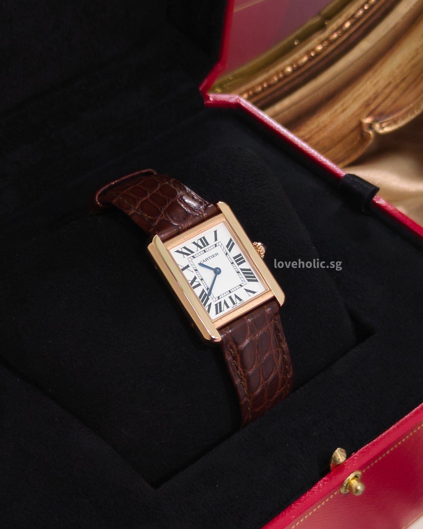 Cartier Tank Solo Small W5200024 | Steel & Rose Gold with leather strap -front