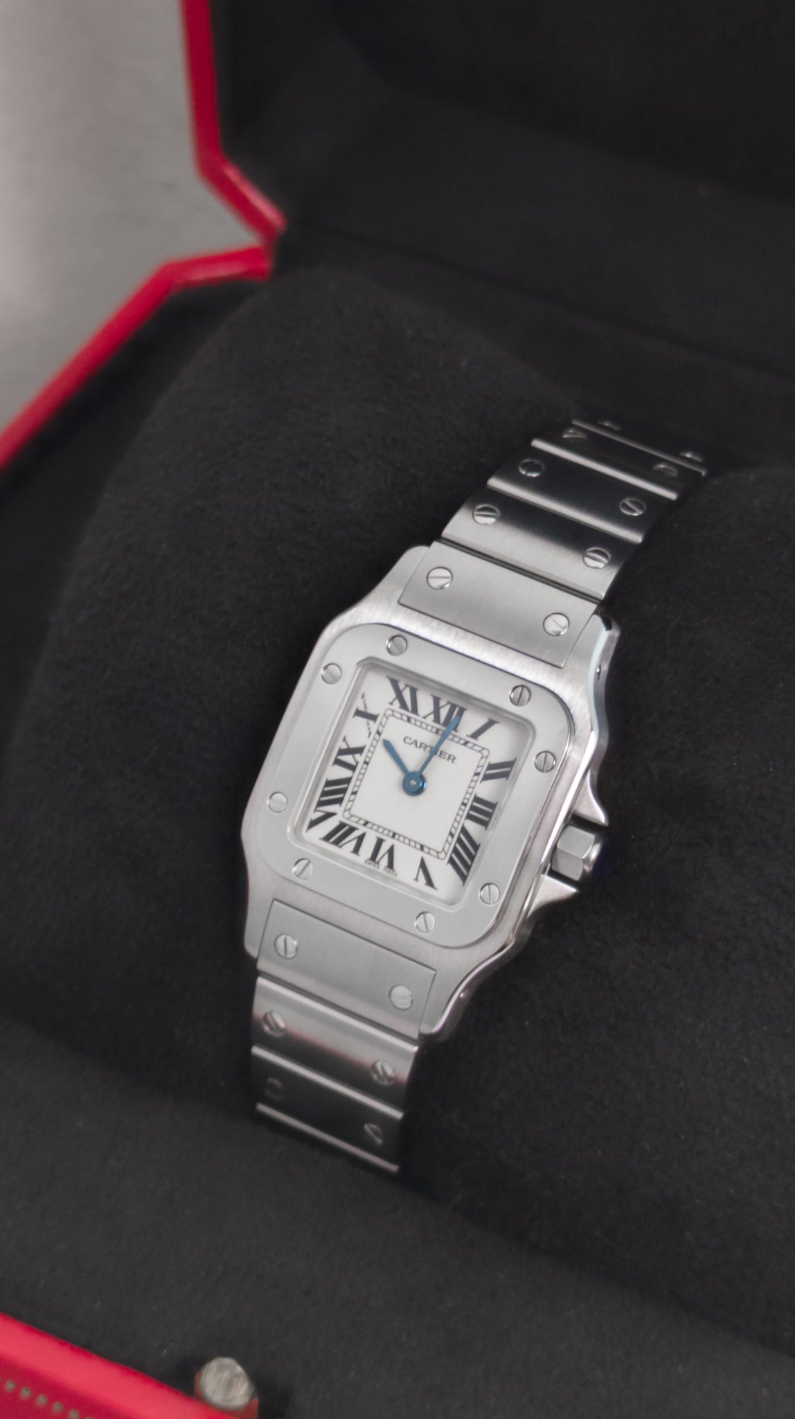 Cartier Santos Galbee Small W20056D6 | -back