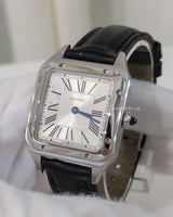 Cartier Santos Dumont Small | Steel WSSA0023 -model
