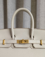 Hermes Birkin Retourne 25 | Beton Togo Gold Hardware-details