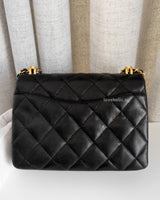 Chanel Mini Flap Bag | Black Caviar Gold Hardware-back