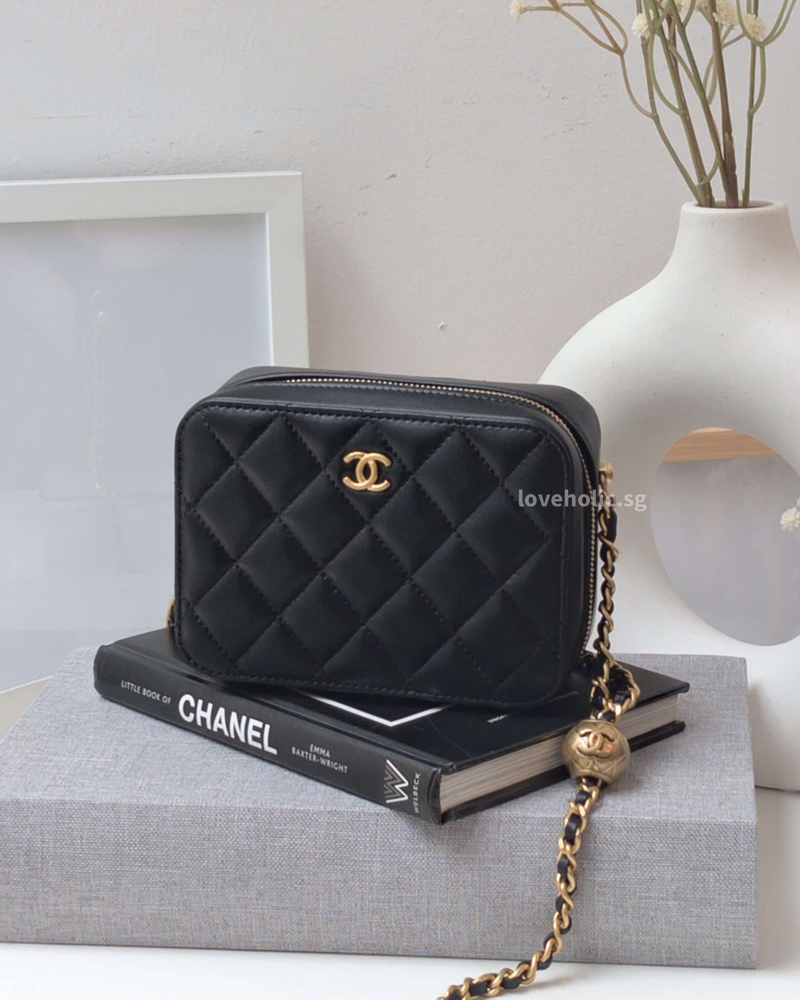 Chanel Camera Bag Mini with Pearl Crush Black Lambskin Brushed