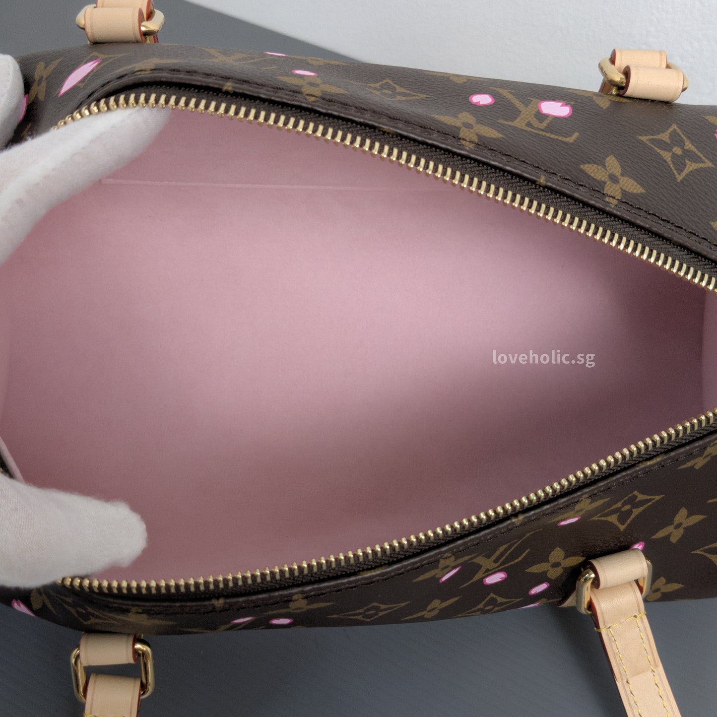 LV x TM Takashi Murakami Monogram | Cherry Blossom Canvas Gold Hardware
