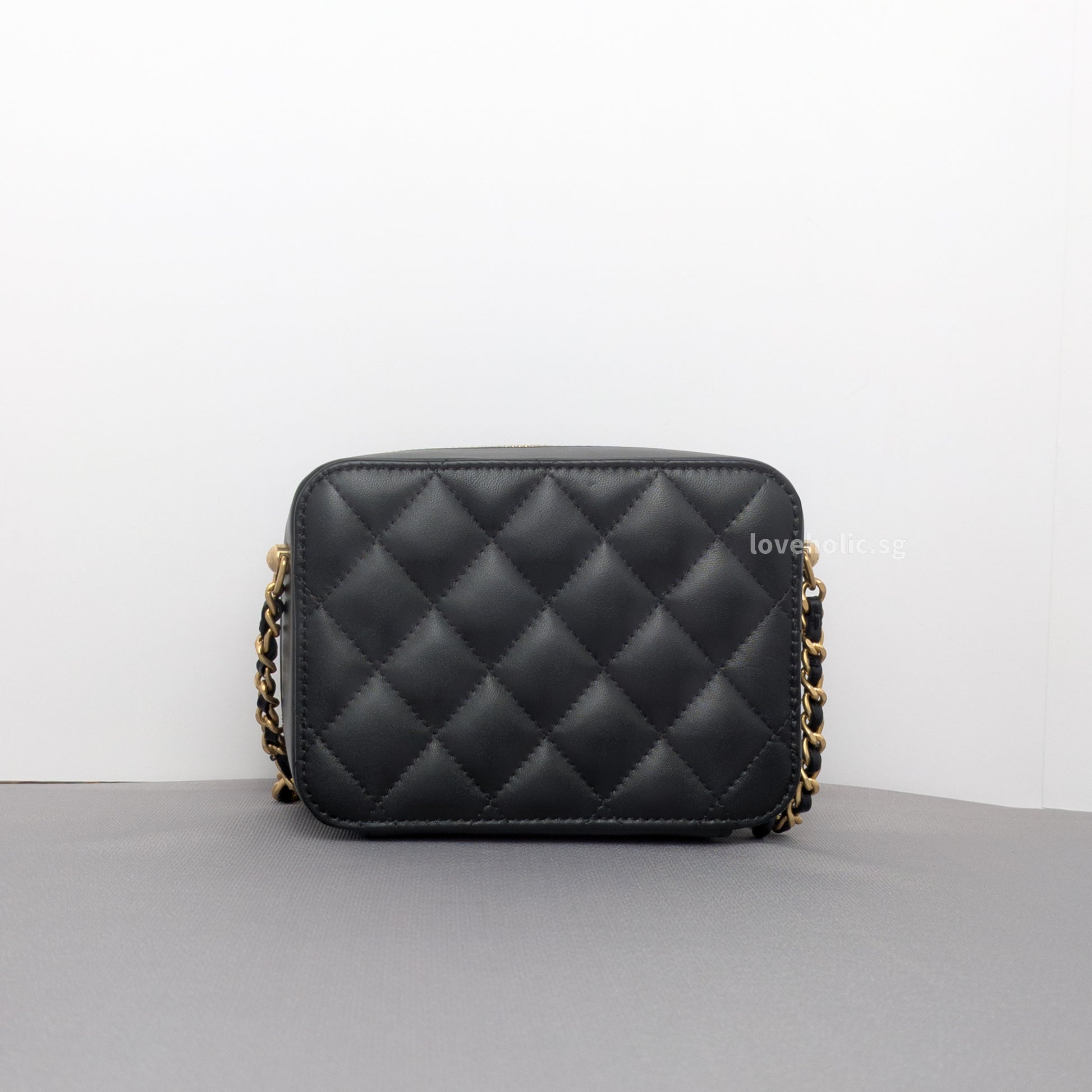 Chanel Camera Bag Mini with pearl crush | Black Lambskin Brushed Gold Hardware-back