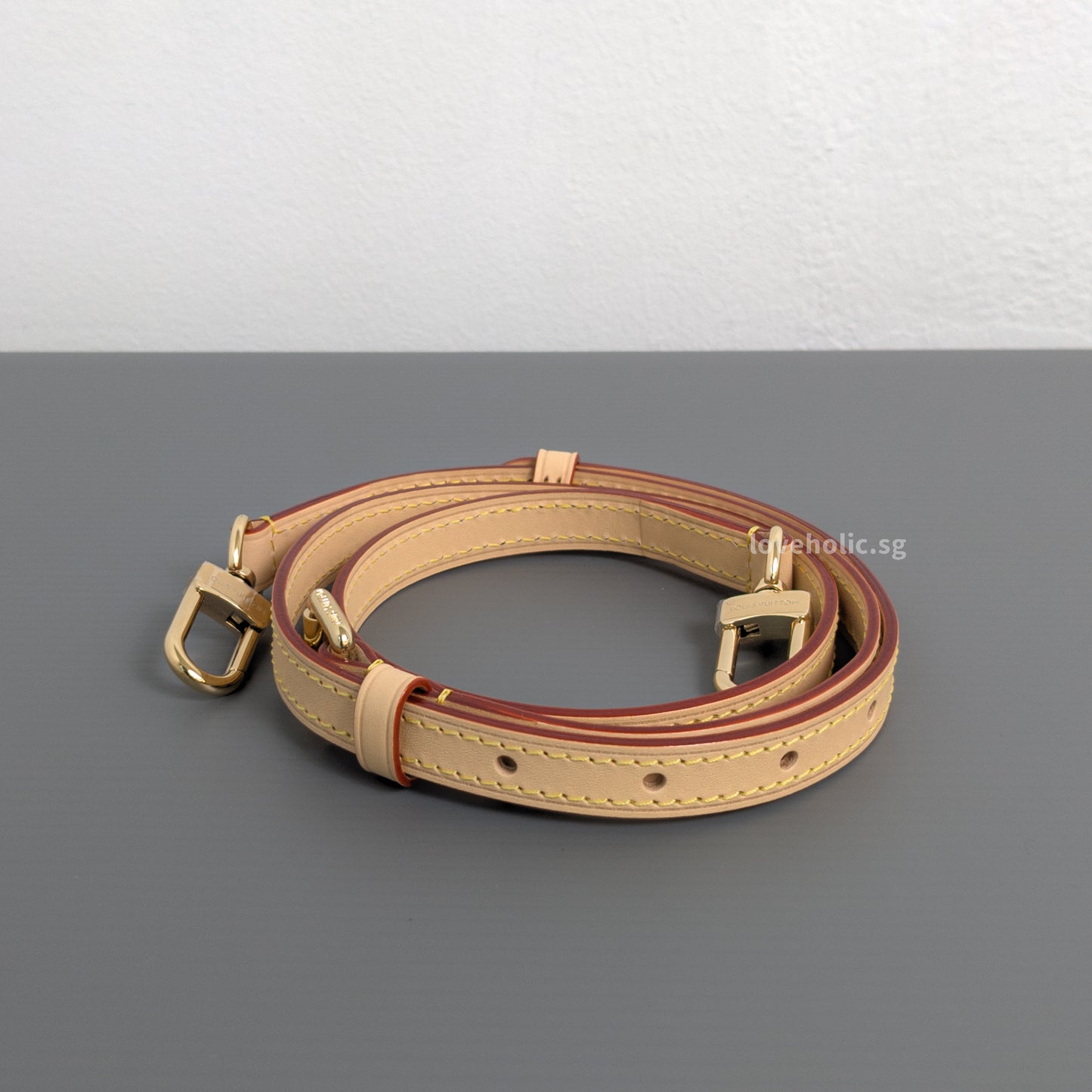 x TM Nano Speedy Canvas Gold Hardware