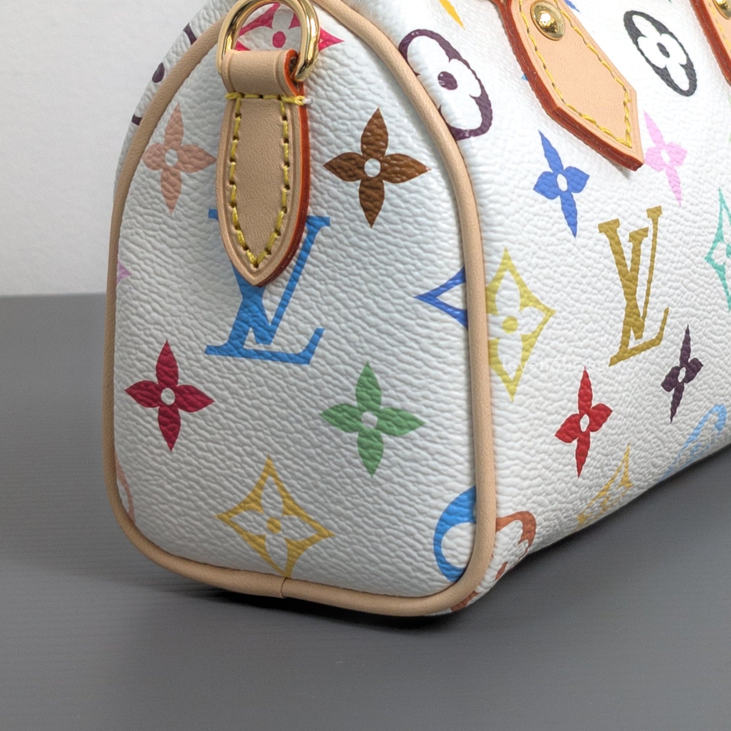x TM Nano Speedy Canvas Gold Hardware