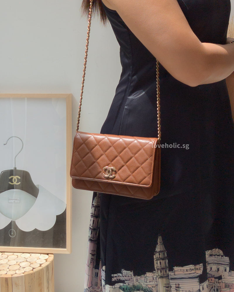 Chanel Wallet On Chain 23A Dark Brown/Caramel Caviar Light Gold Hardware-modelshots