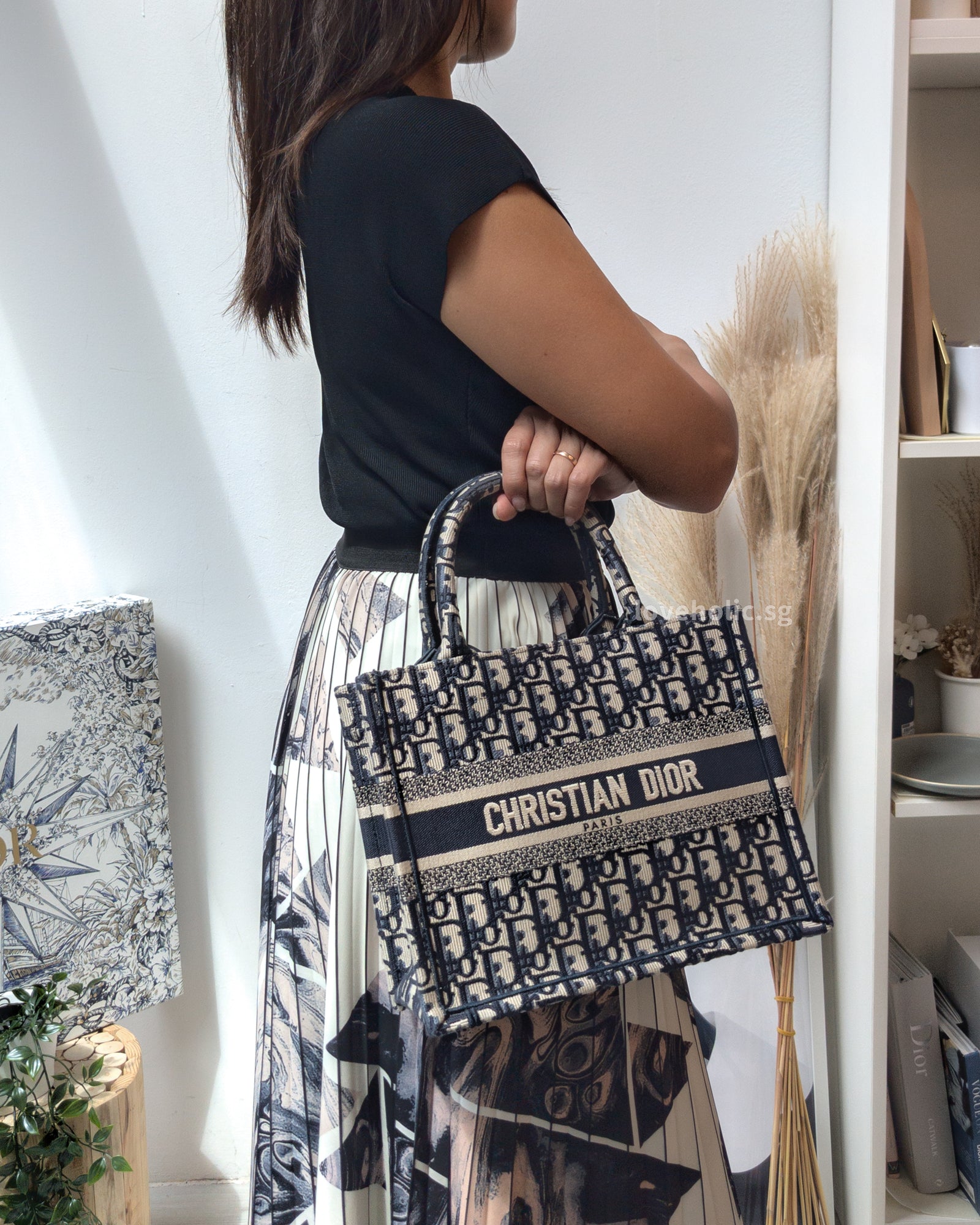 Dior Canvas Bag Small Canvas Dior Tote Bag Dior Tote Book Price