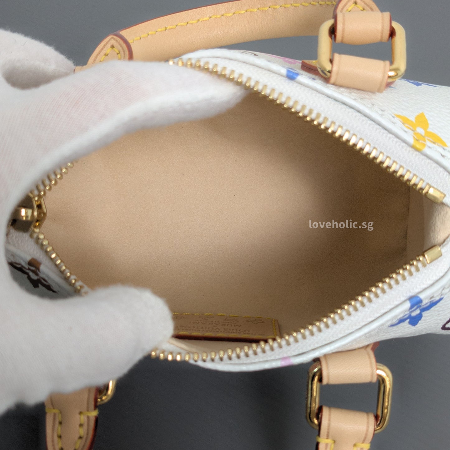 x TM Nano Speedy Canvas Gold Hardware