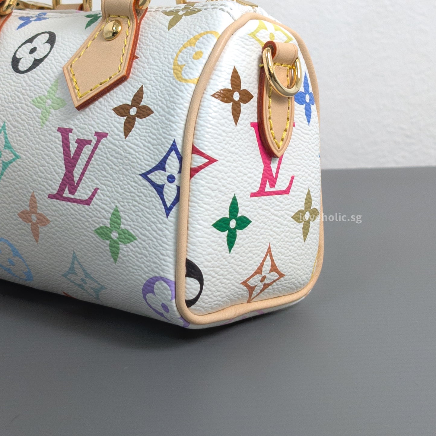 x TM Nano Speedy Canvas Gold Hardware