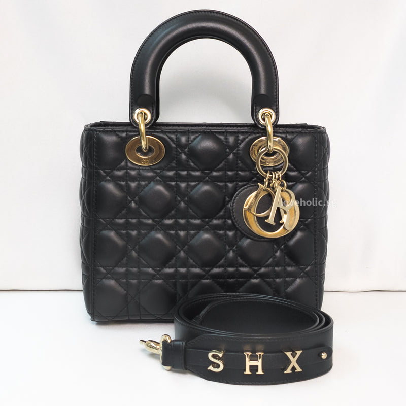 Lady Dior MyABC Bag  TIỆP COLOUR