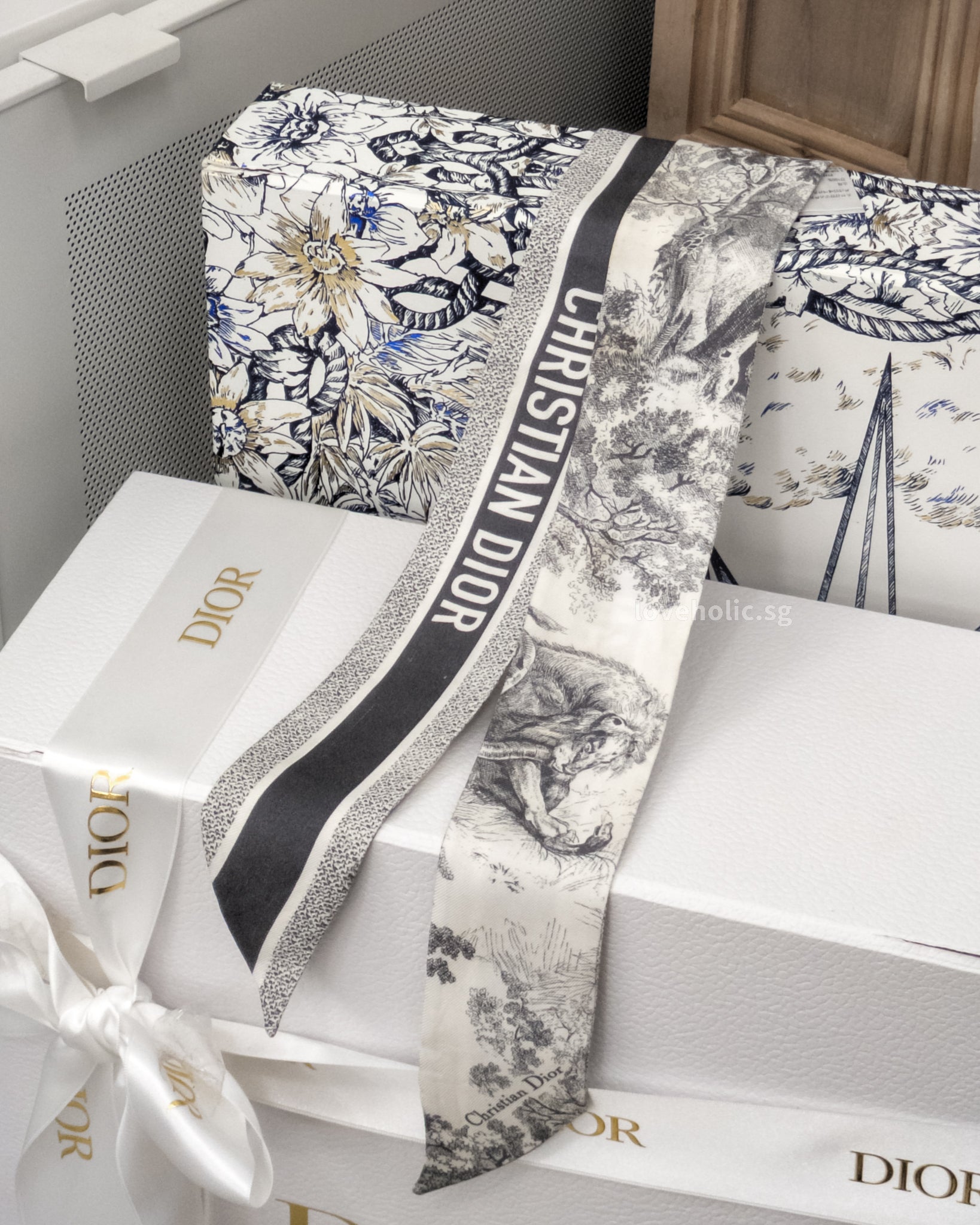 Dior Toile de Jouy Sauvage Mitzah Scarf | Ivory and Gray Silk Twill -front
