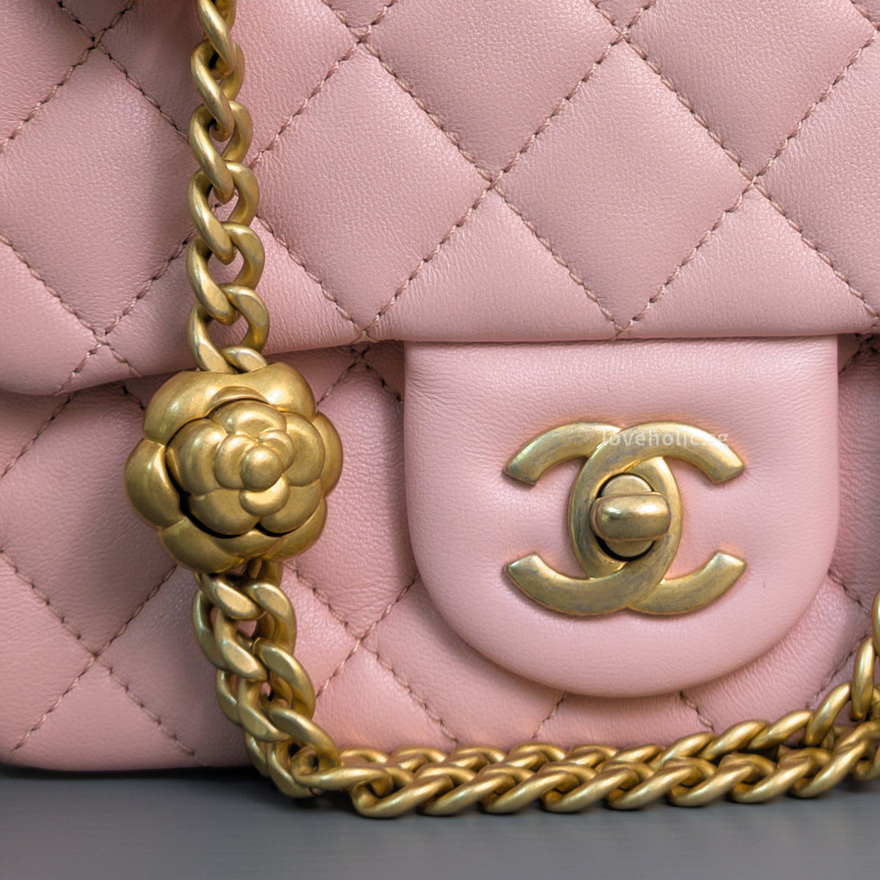 Chanel Camillia Crush Mini Square | 23P Light Pink  Calfskin Light Gold Hardware-details
