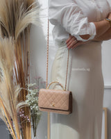 Chanel Top Handle Wallet On Chain 23B Dark Beige  Lambskin Gold Hardware-model