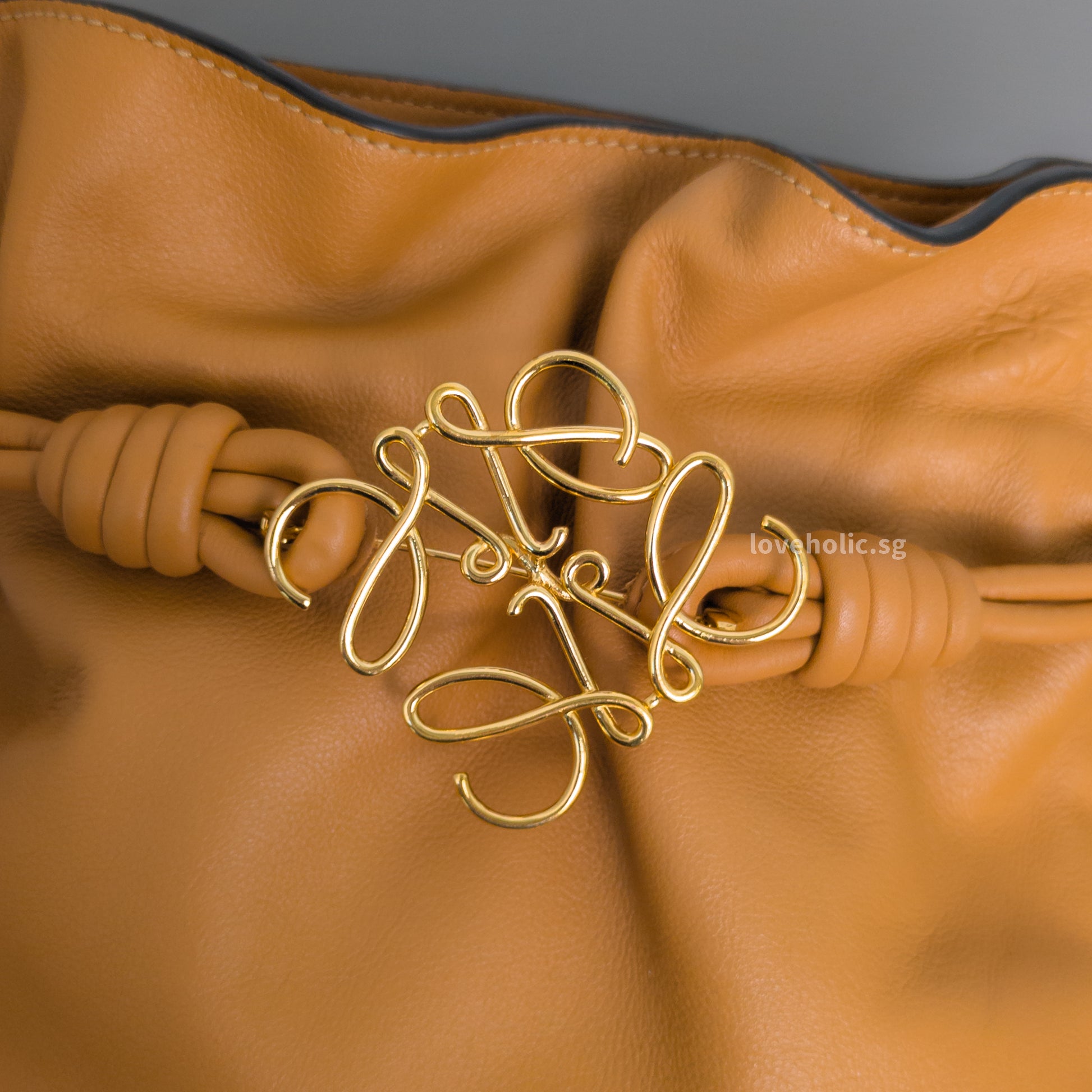 Loewe Flamenco Mini | Warm Desert Calfskin Gold Hardware-details