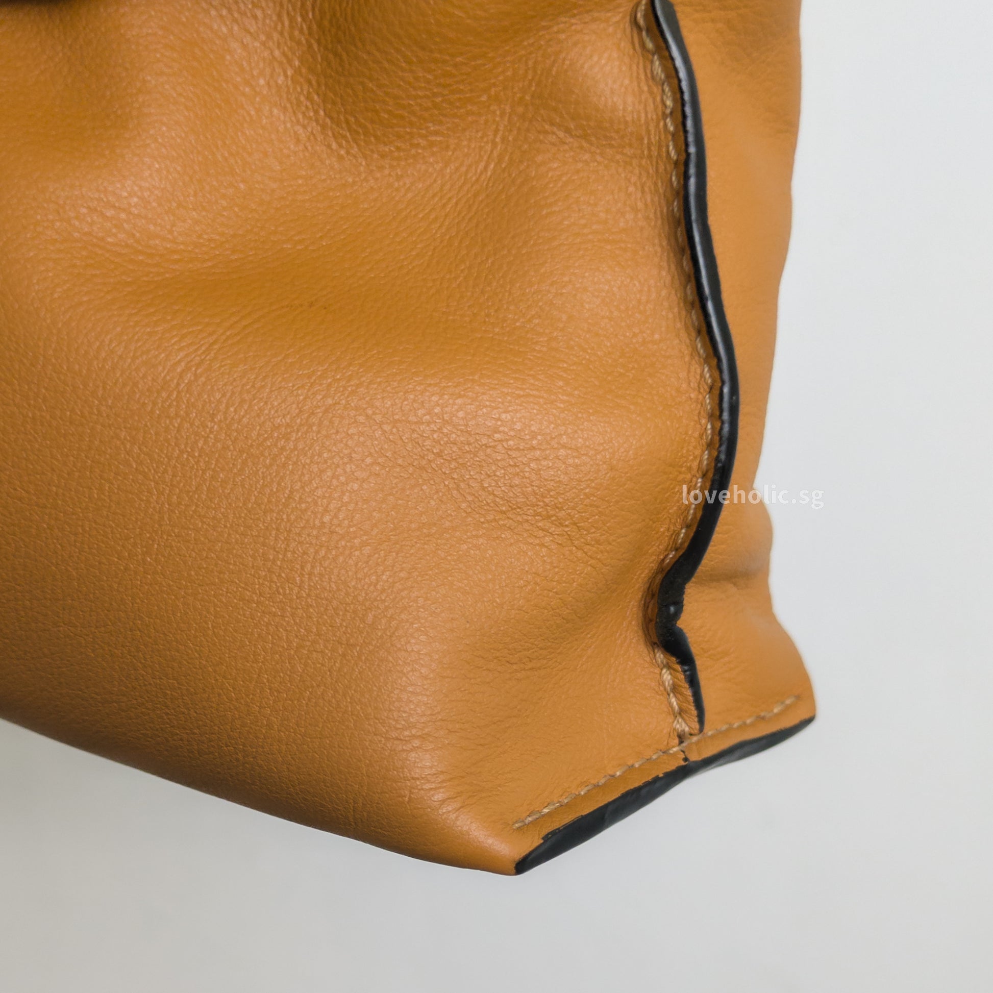 Loewe Flamenco Mini | Warm Desert Calfskin Gold Hardware-details
