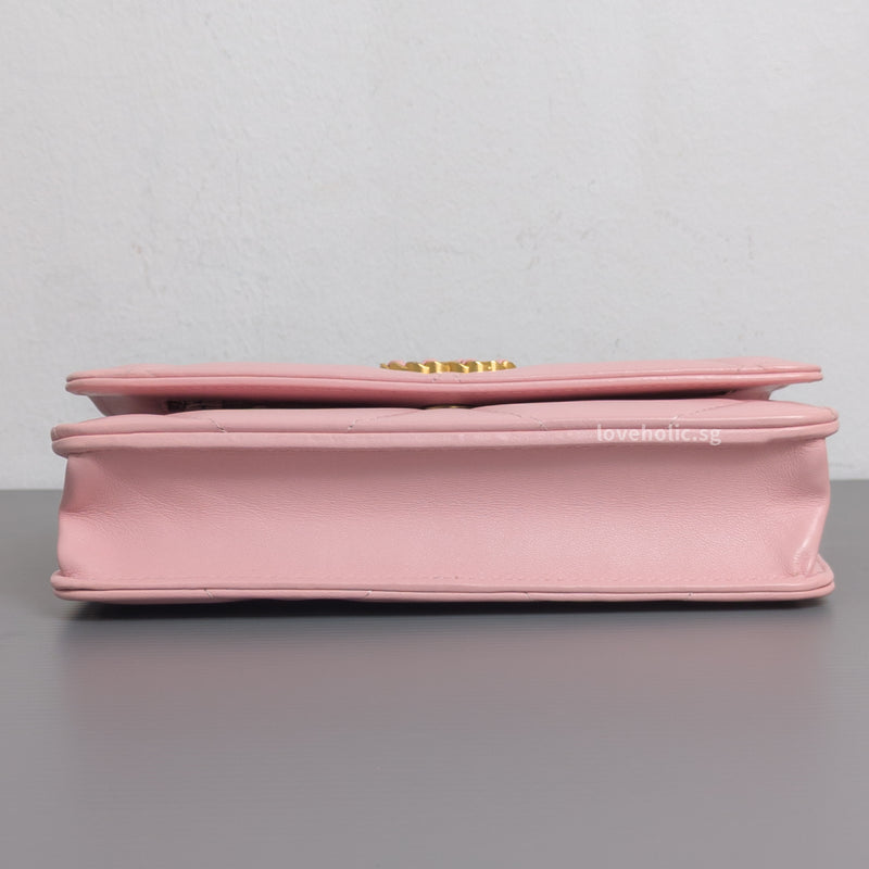 Chanel Chanel 19 Wallet on Chain | Pink Lambskin Multicolored Hardware-details