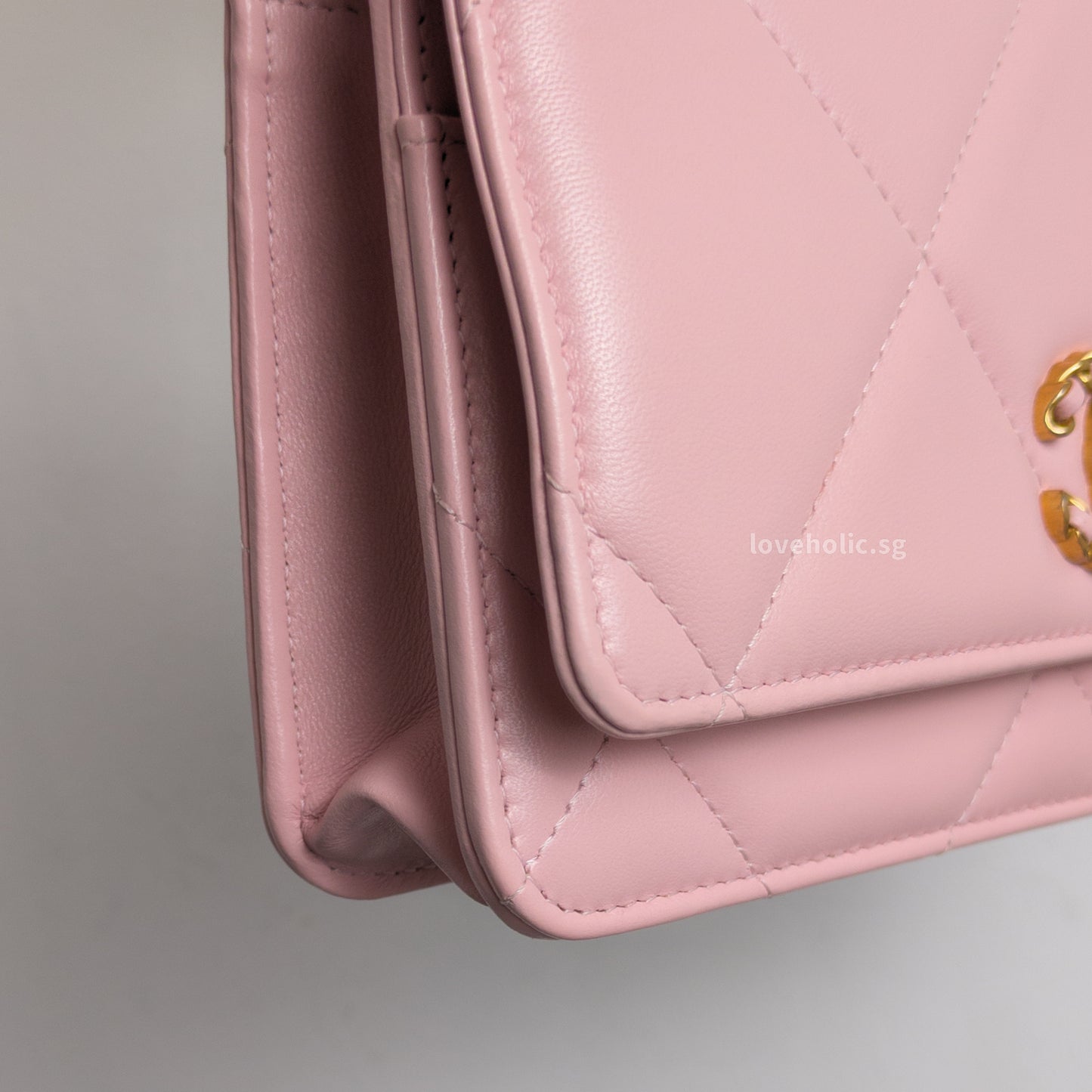 Chanel Chanel 19 Wallet on Chain | Pink Lambskin Multicolored Hardware-details