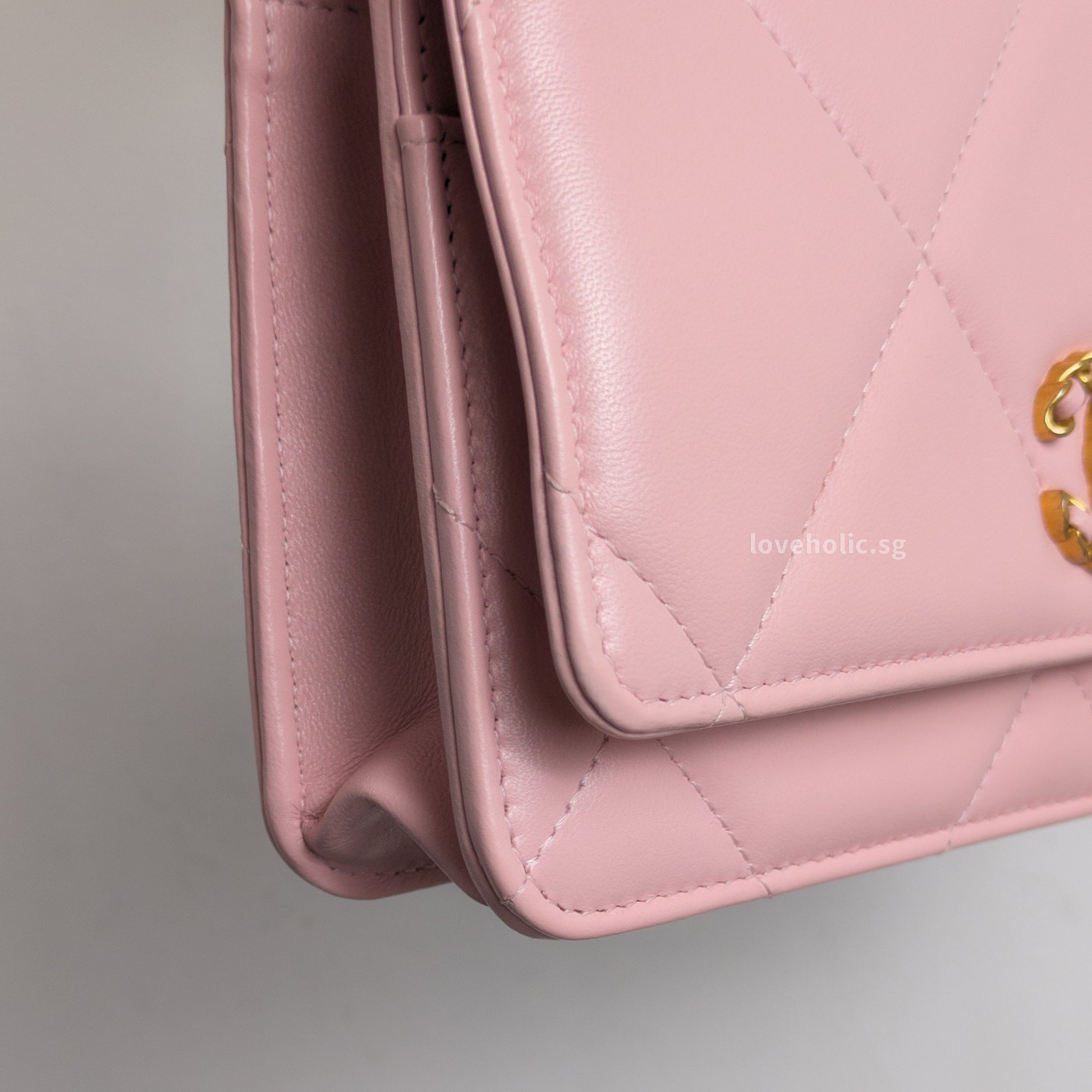 Chanel Chanel 19 Wallet on Chain | Pink Lambskin Multicolored Hardware-details