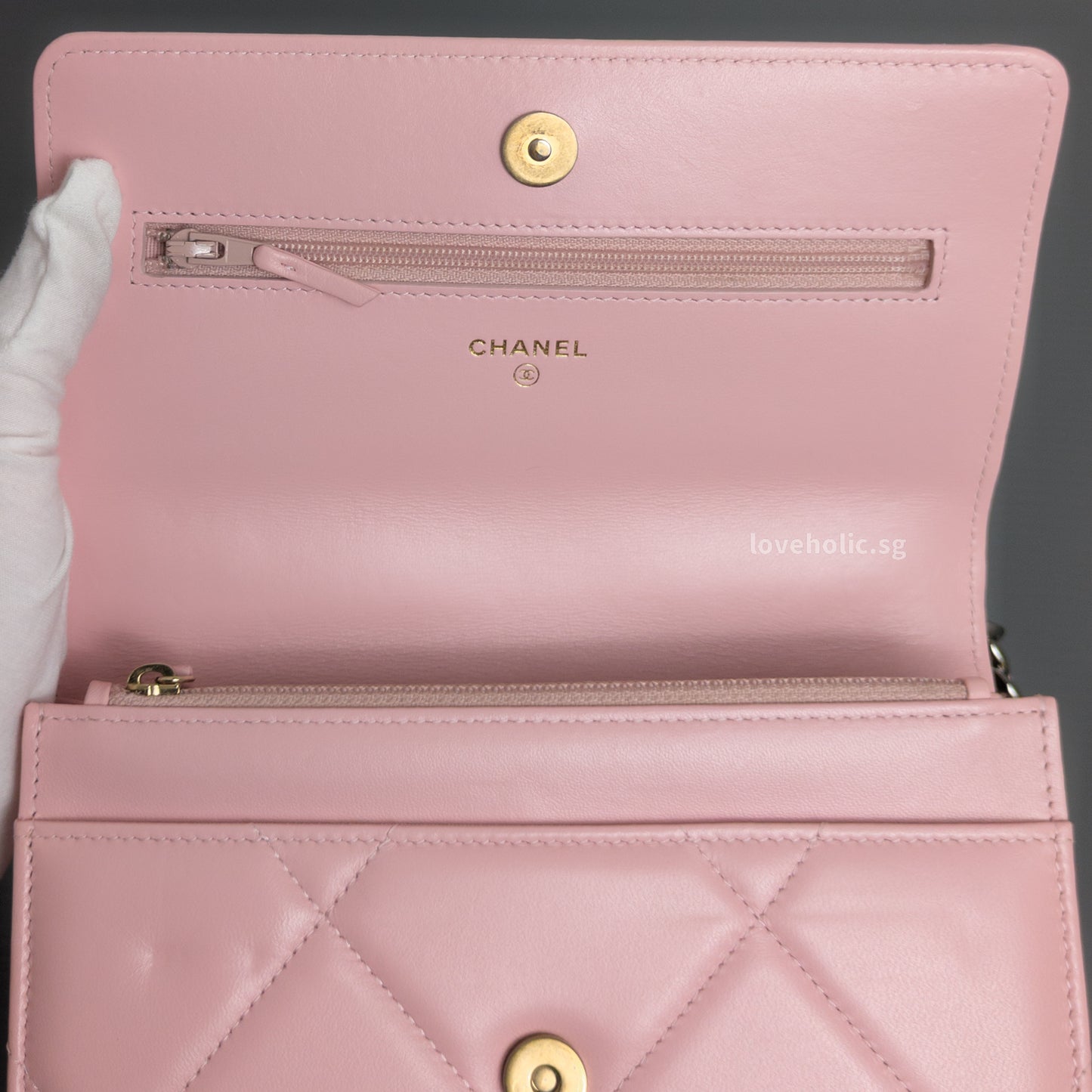 Chanel Chanel 19 Wallet on Chain | Pink Lambskin Multicolored Hardware-details