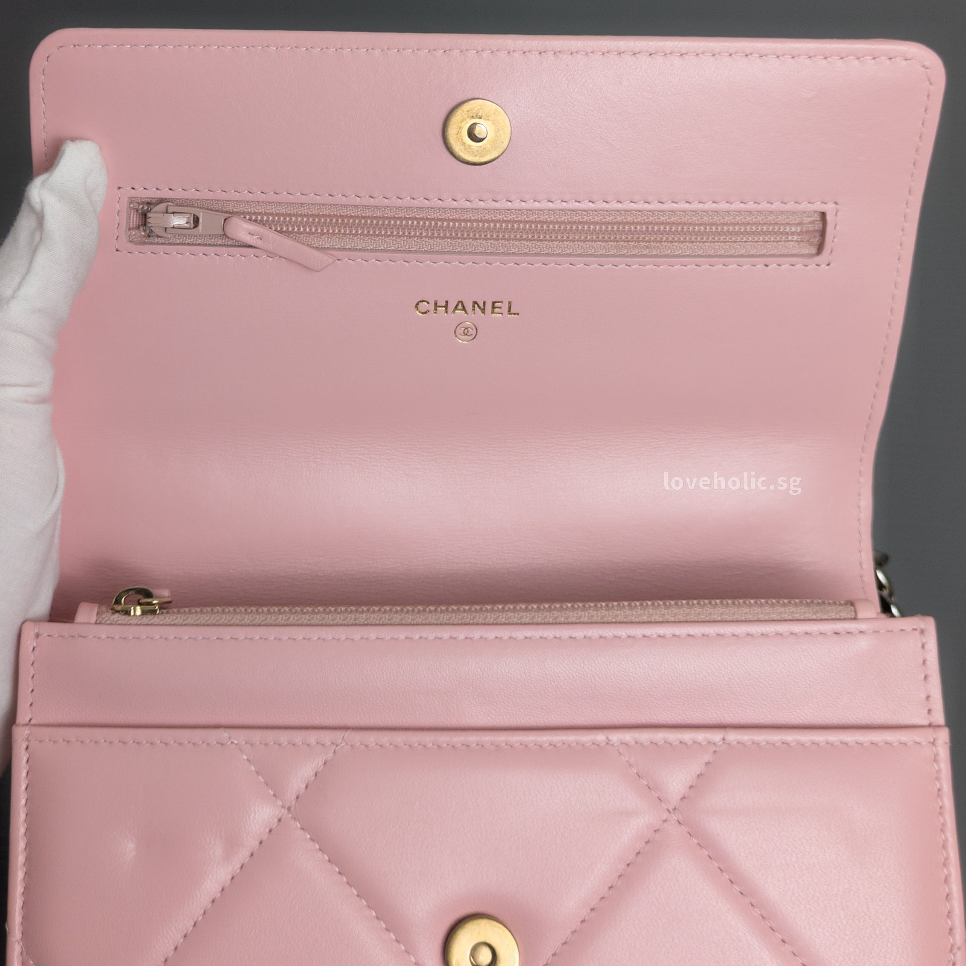 Chanel Chanel 19 Wallet on Chain | Pink Lambskin Multicolored Hardware-details