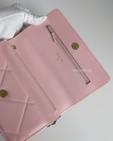 Chanel 19 Wallet on Chain | Pink Lambskin Multicolored Hardware
