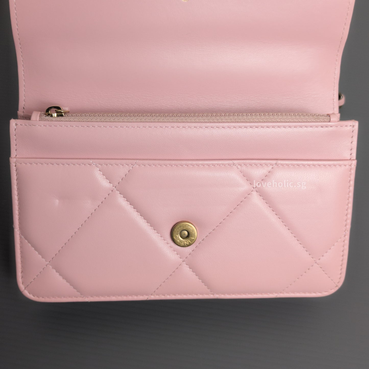 Chanel Chanel 19 Wallet on Chain | Pink Lambskin Multicolored Hardware-details
