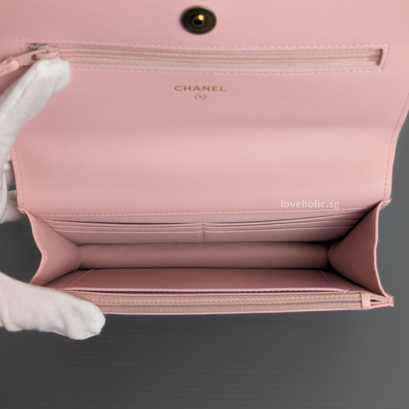 Chanel Chanel 19 Wallet on Chain | Pink Lambskin Multicolored Hardware-details