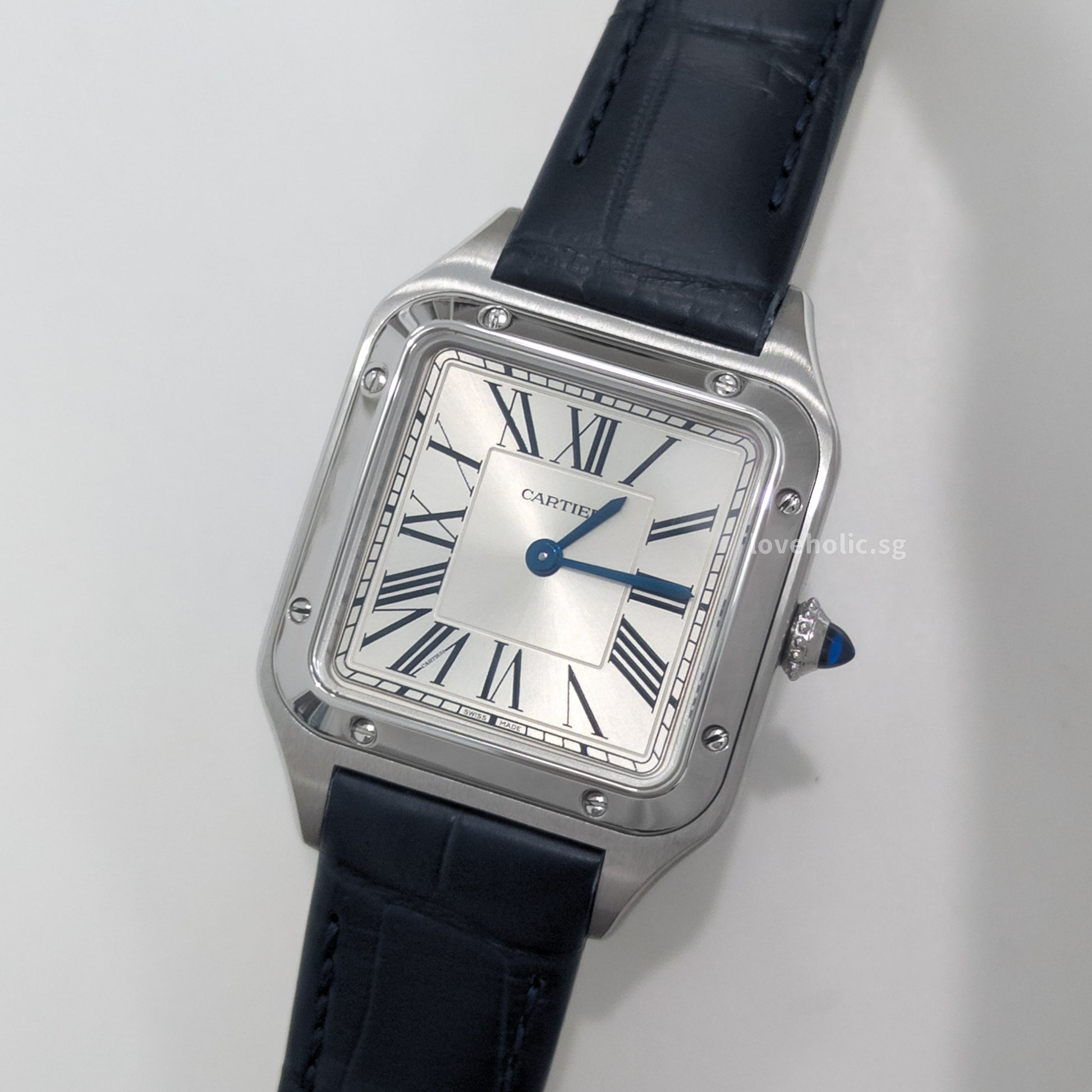 Cartier Santos Dumont Small Steel WSSA0023 | -model
