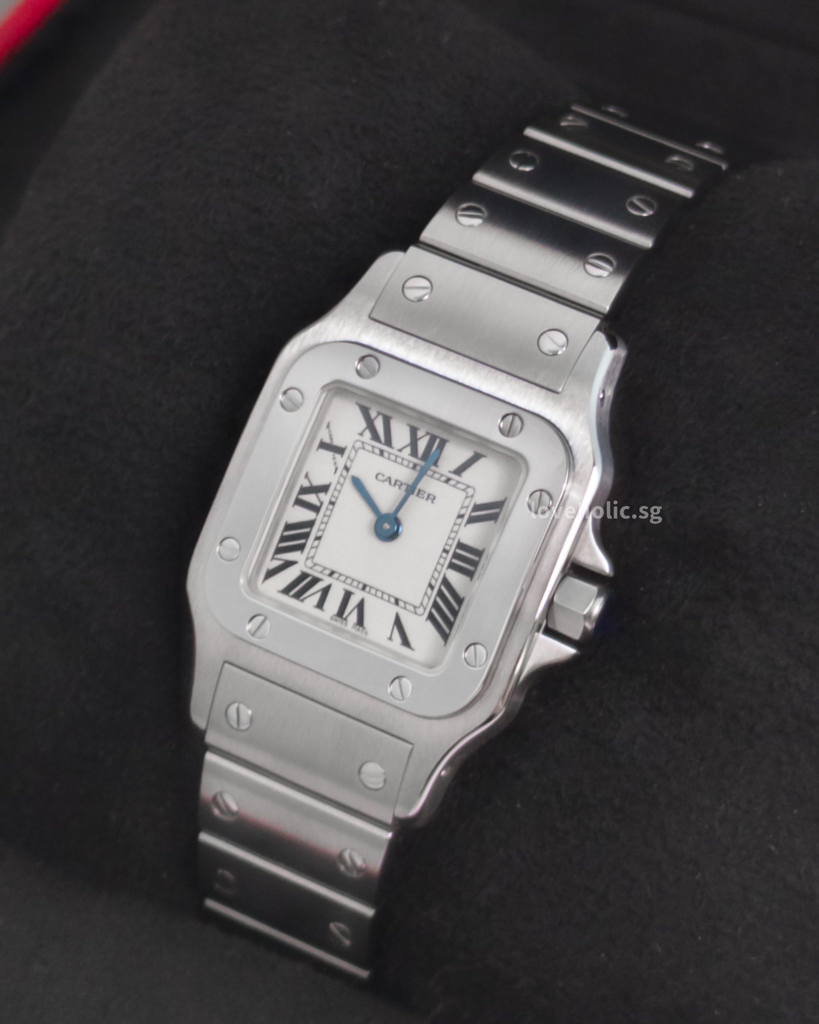 Cartier Santos Galbee Small W20056D6 | -front