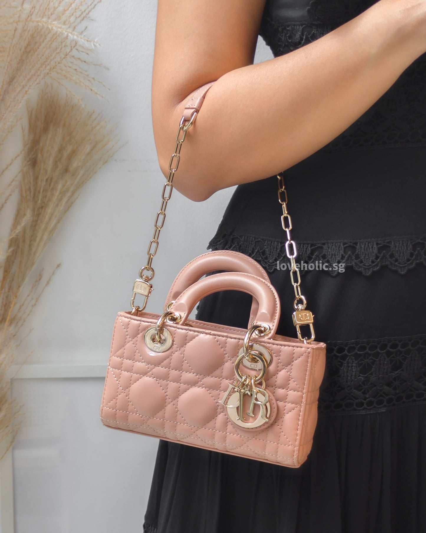 Dior Lady D-Joy Micro | Blush Lambskin Light Gold Hardware-model