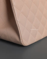 Bucket Bag Mini | 24C Light Pink Caviar Light Gold Hardware