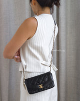 Chanel Diana Reissue Small | Black Lambskin Brushed Gold Hardware-model