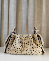 Chanel Chanel 25 Mini  | Cheetah Print Gold Hardware-front1