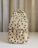 Chanel Chanel 25 Mini  | Cheetah Print Gold Hardware-side