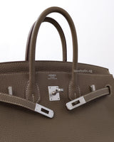 Hermes Birkin Retourne 25 | Etoupe Togo Palladium Hardware-details