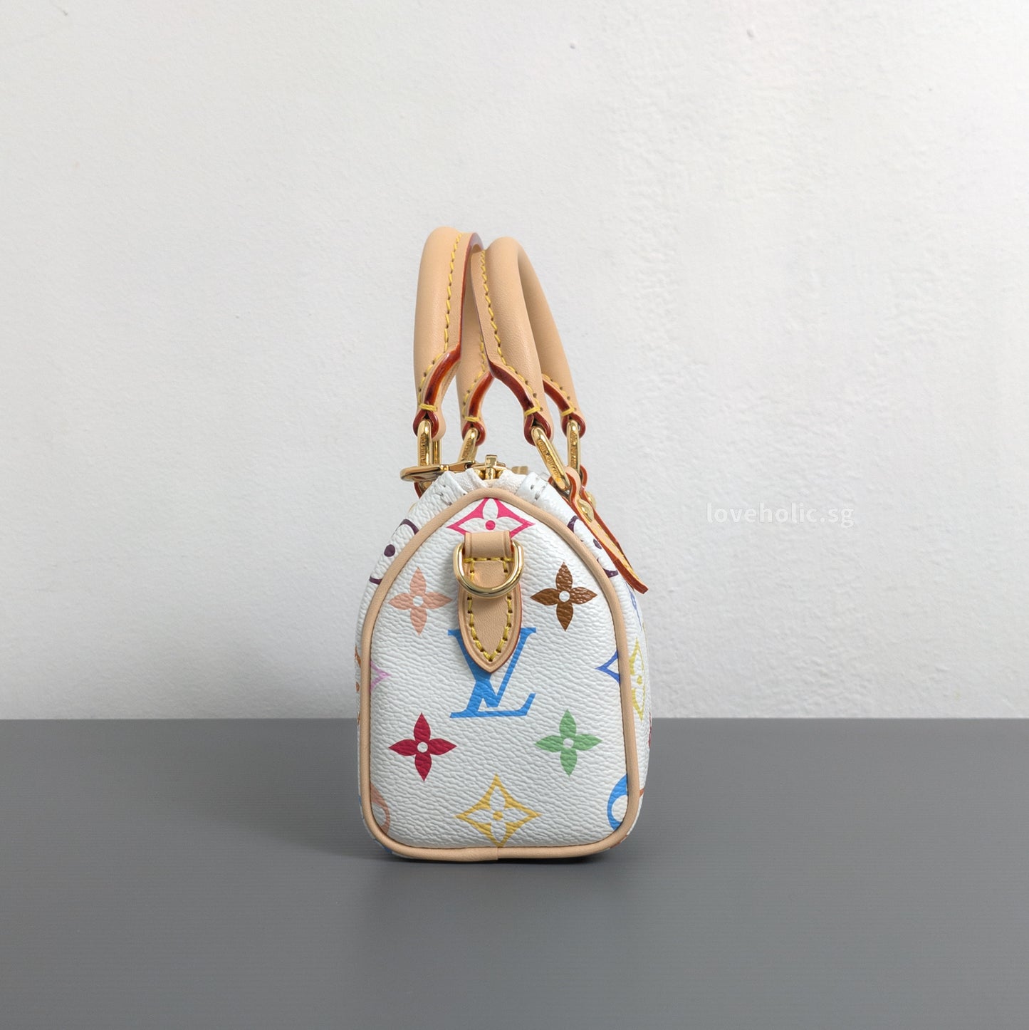 x TM Nano Speedy Canvas Gold Hardware