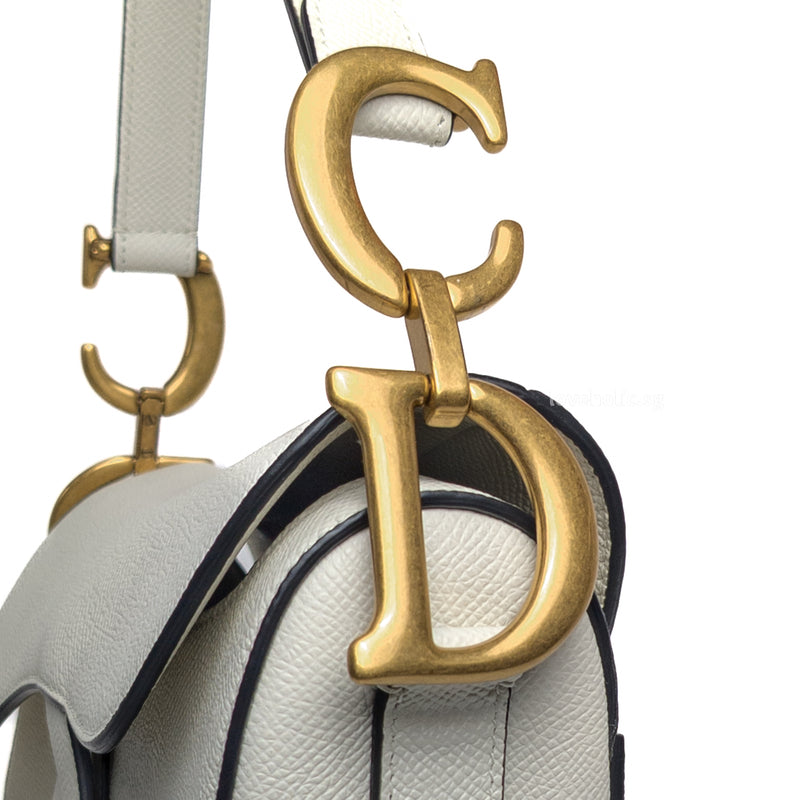 Dior Saddle Medium | Latte Grained Calfskin Brushed Gold Hardware