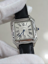 Santos Dumont Small | Steel WSSA0023